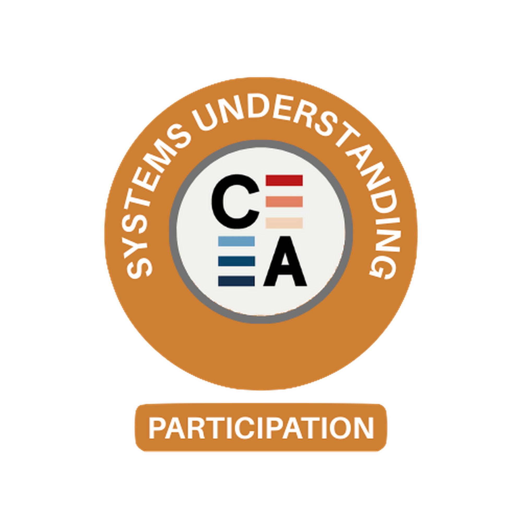 Pillar 1 Systems Understanding Bronze badge