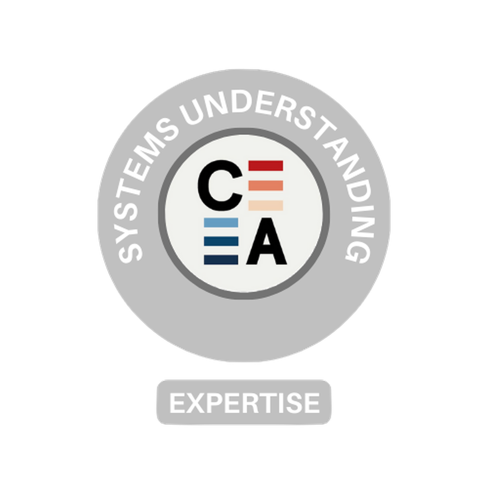 Pillar 1 Systems Understanding Silver badge