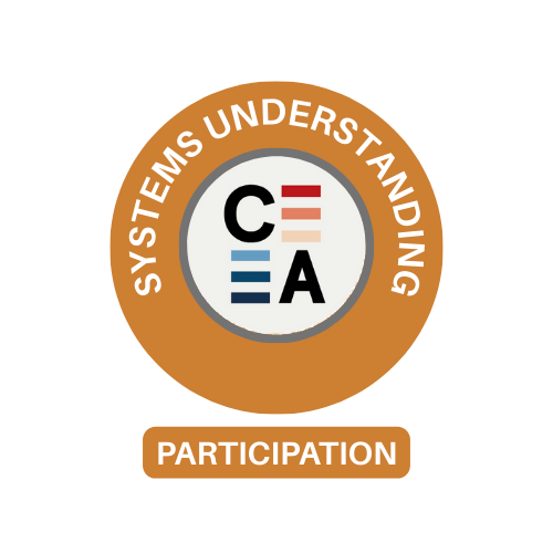 Pillar 1 - Systems Understanding (BRONZE) Badge